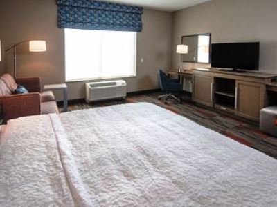 Hampton And At Wisconsin Dells Delton Hotel