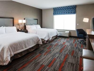 Hotel Hampton And At Wisconsin Dells Delton